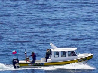 Investigadores de la Universidad de Antofagasta analizando muestras para monitorear el impacto de plantas desaladoras en el mar.