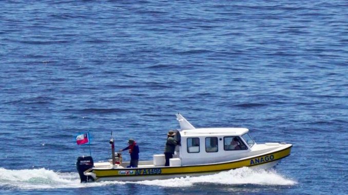 Investigadores de la Universidad de Antofagasta analizando muestras para monitorear el impacto de plantas desaladoras en el mar.